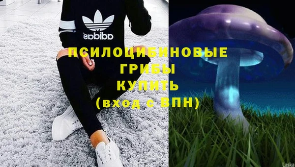 стафф Балабаново